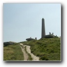 [Click to enlarge image]