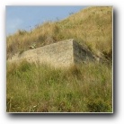 [Click to enlarge image]